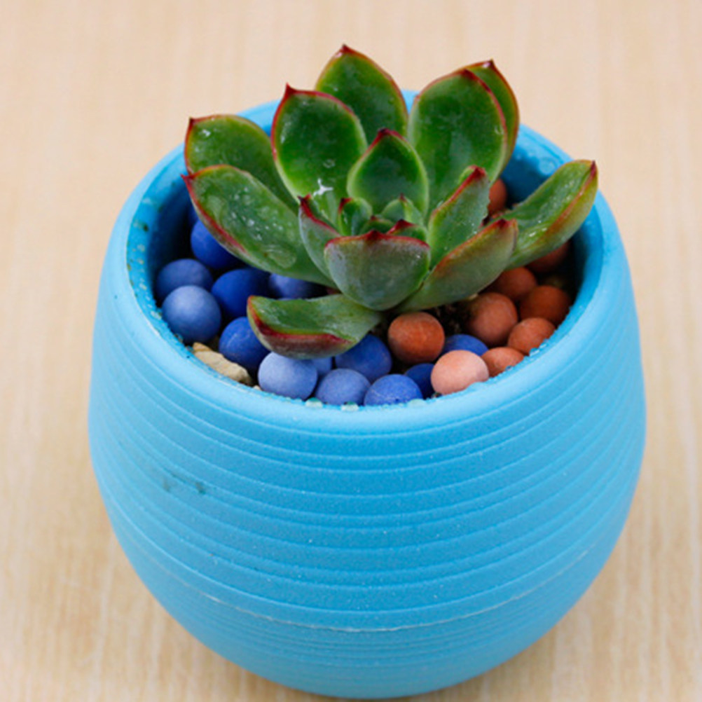 Plant Pot Small Desk - أواني نباتات الصبار الصغيرة من الراتنج،
