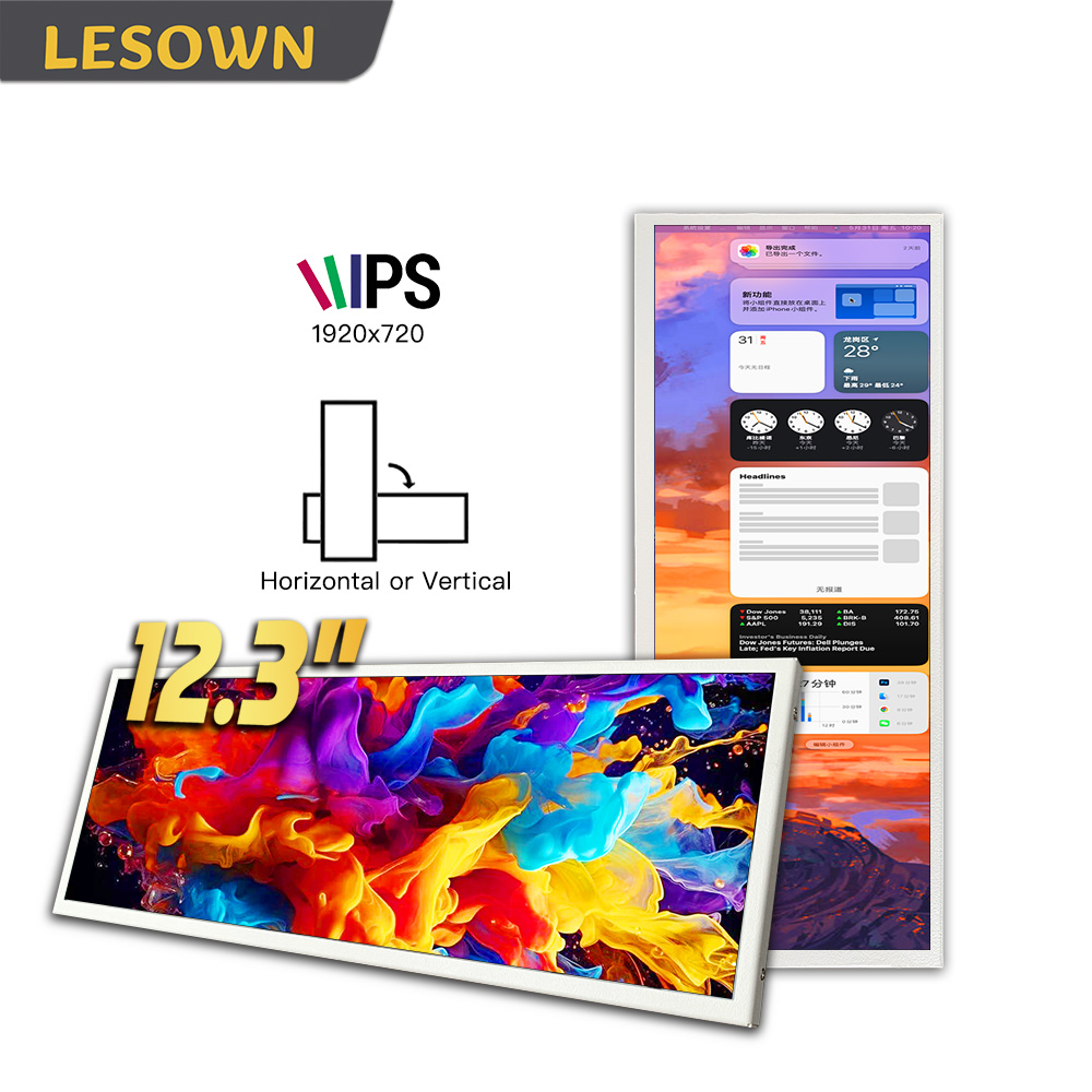 Desk Setup One Monitor - شاشة محمولة LESOWN مقاس 12.3 بوصة