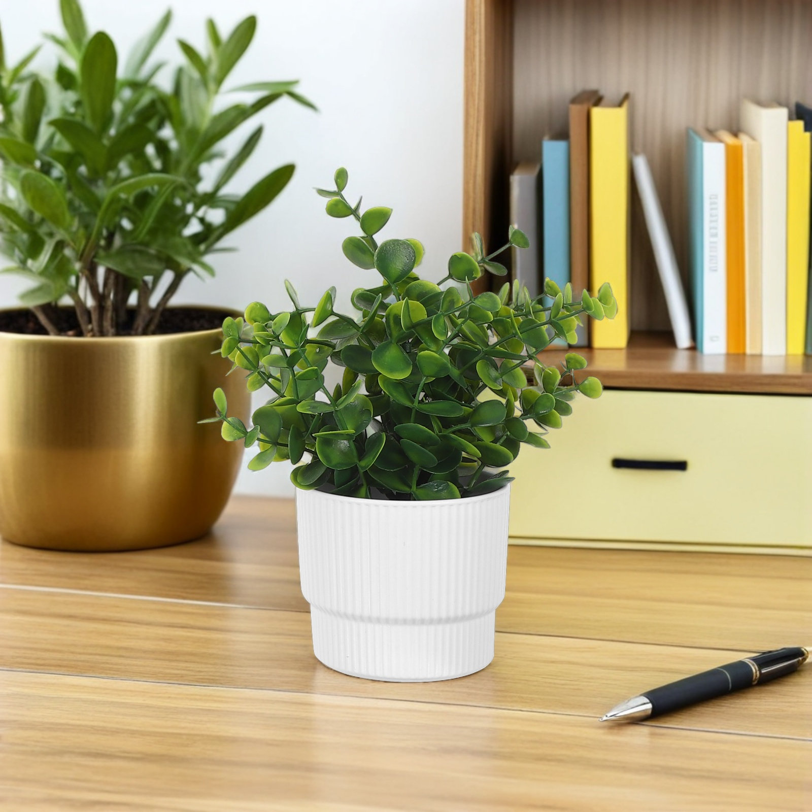 3 قطع نباتات أوكالبتوس صغيرة ا - مراجعة Plant Pot Small Desk وسعره
