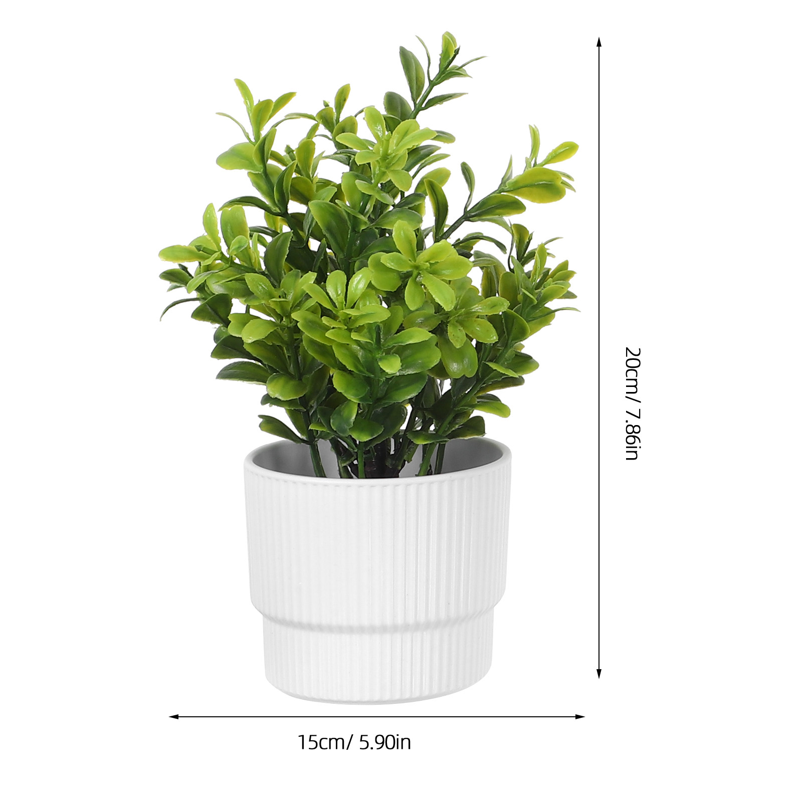 3 قطع نباتات أوكالبتوس صغيرة ا - مراجعة Plant Pot Small Desk وسعره