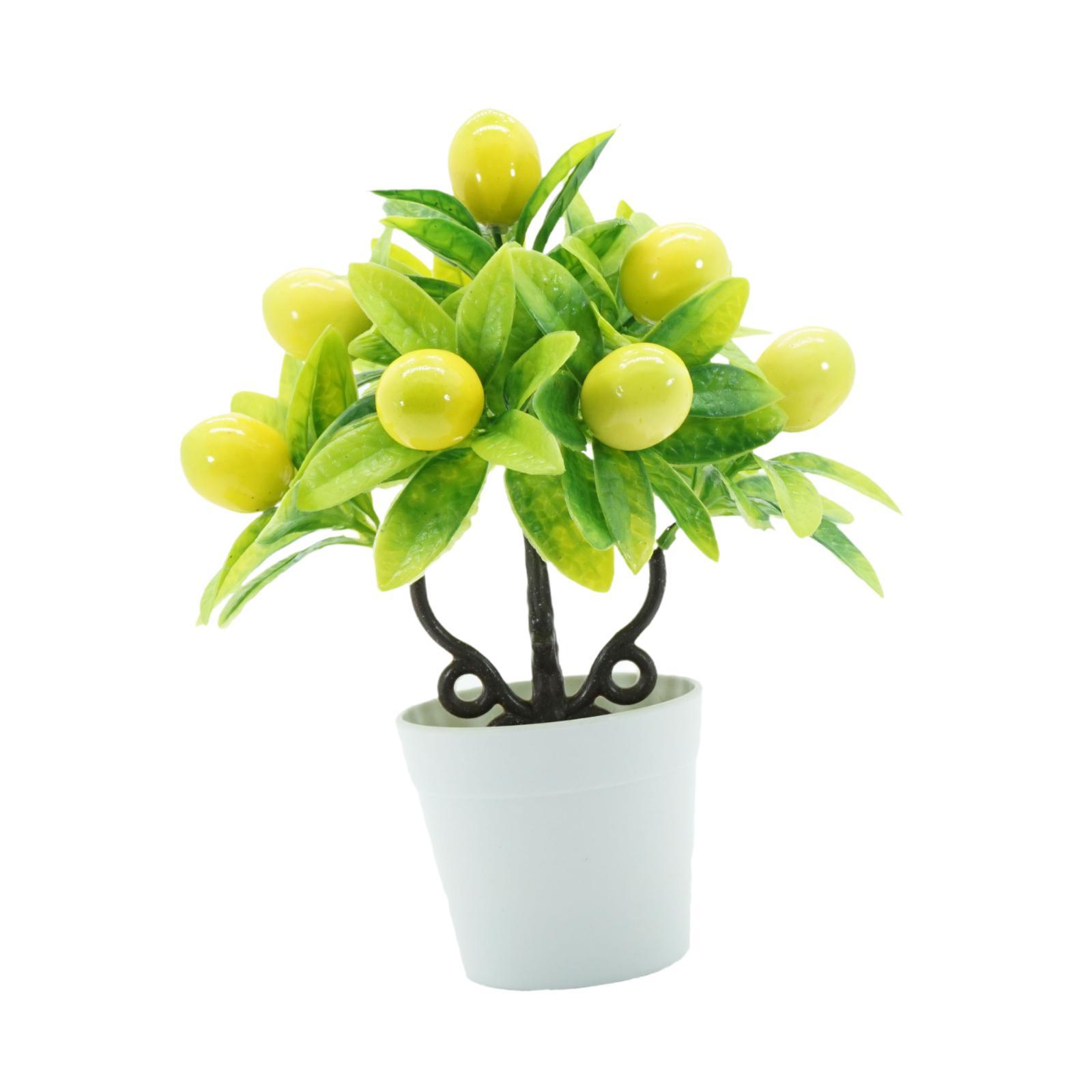 نباتات اصطناعية في أصص، بونساي - مراجعة Plant Pot Small Desk وسعره