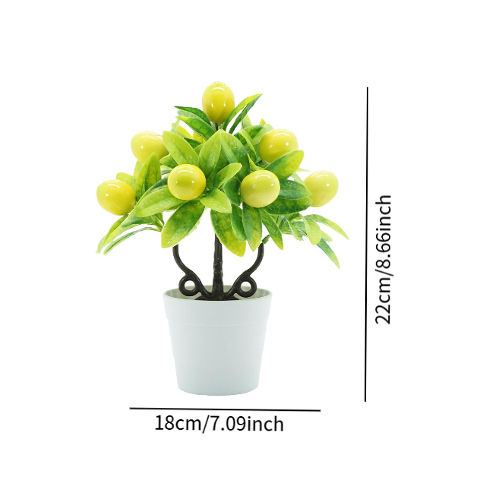 نباتات اصطناعية في أصص، بونساي - مراجعة Plant Pot Small Desk وسعره