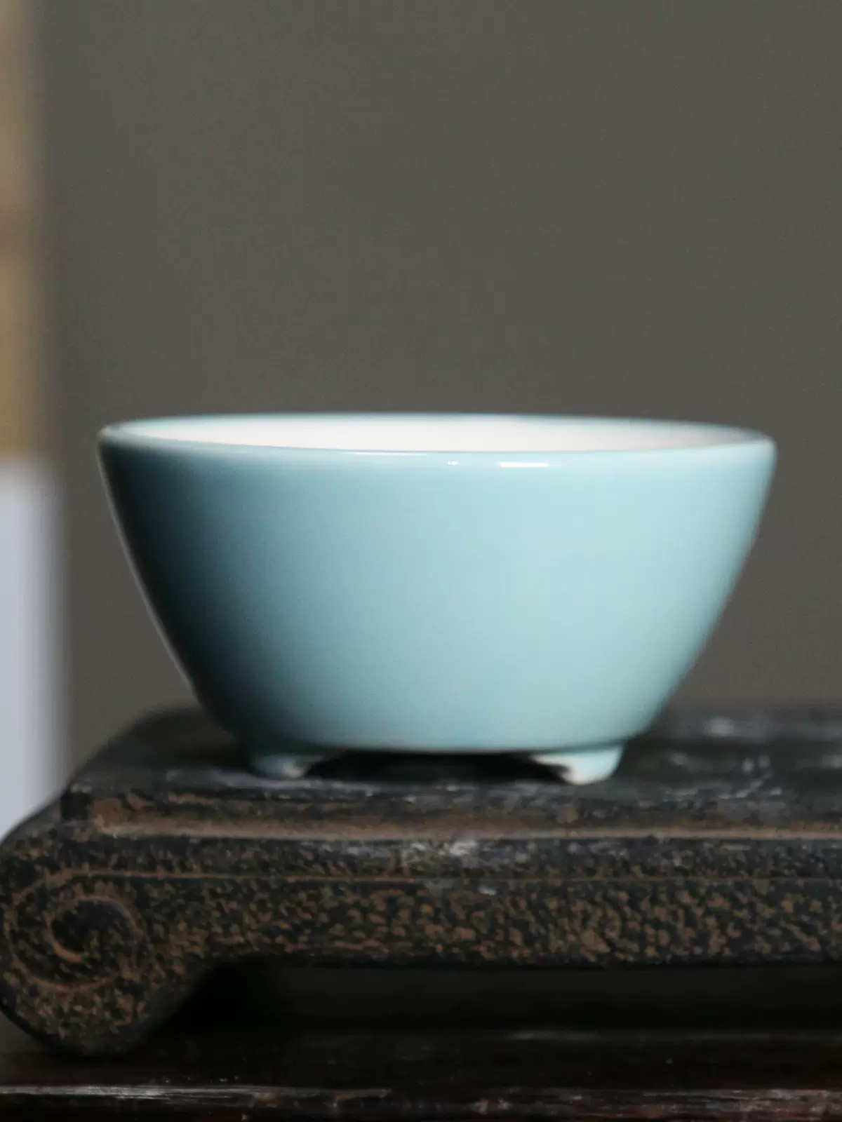 وعاء بونساي مستدير ملون من الب - مراجعة Plant Pot Small Desk وسعره