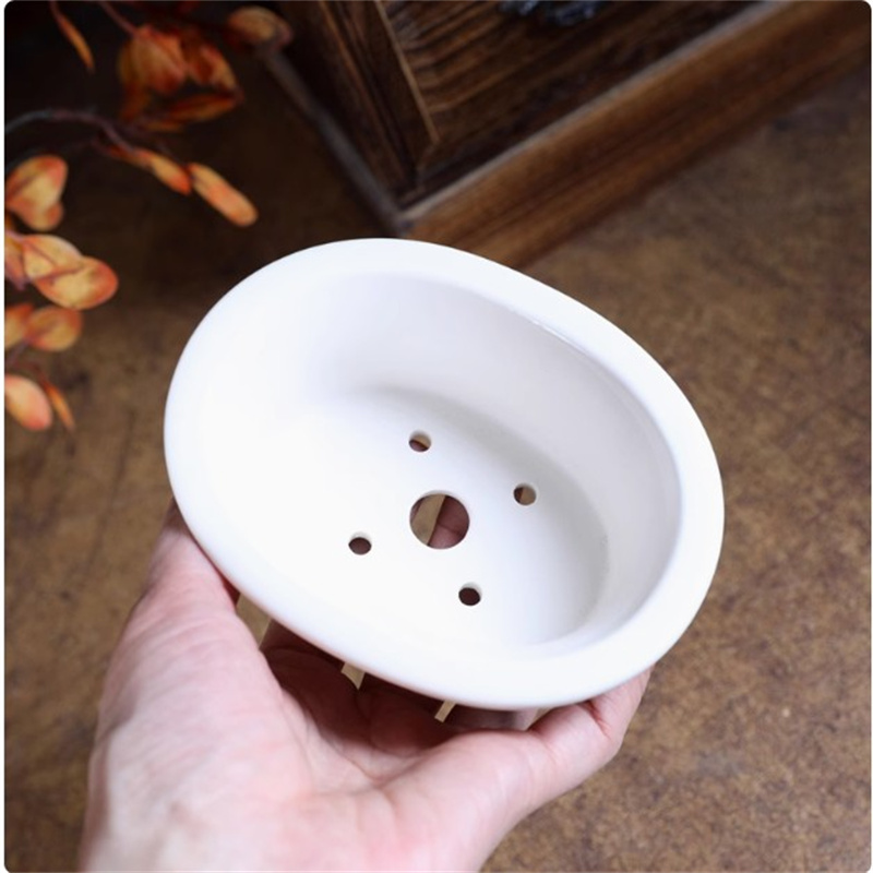 وعاء بونساي بيضاوي أبيض من الب - مراجعة Plant Pot Small Desk وسعره