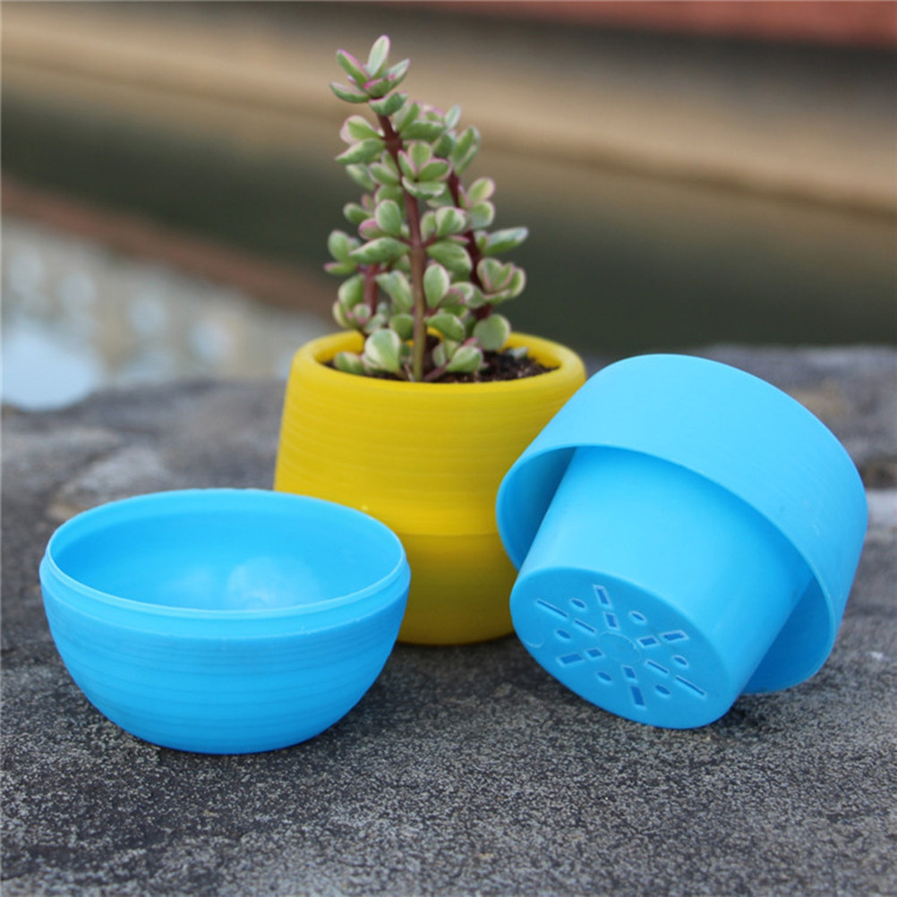 أواني نباتات الصبار الصغيرة من - مراجعة Plant Pot Small Desk وسعره