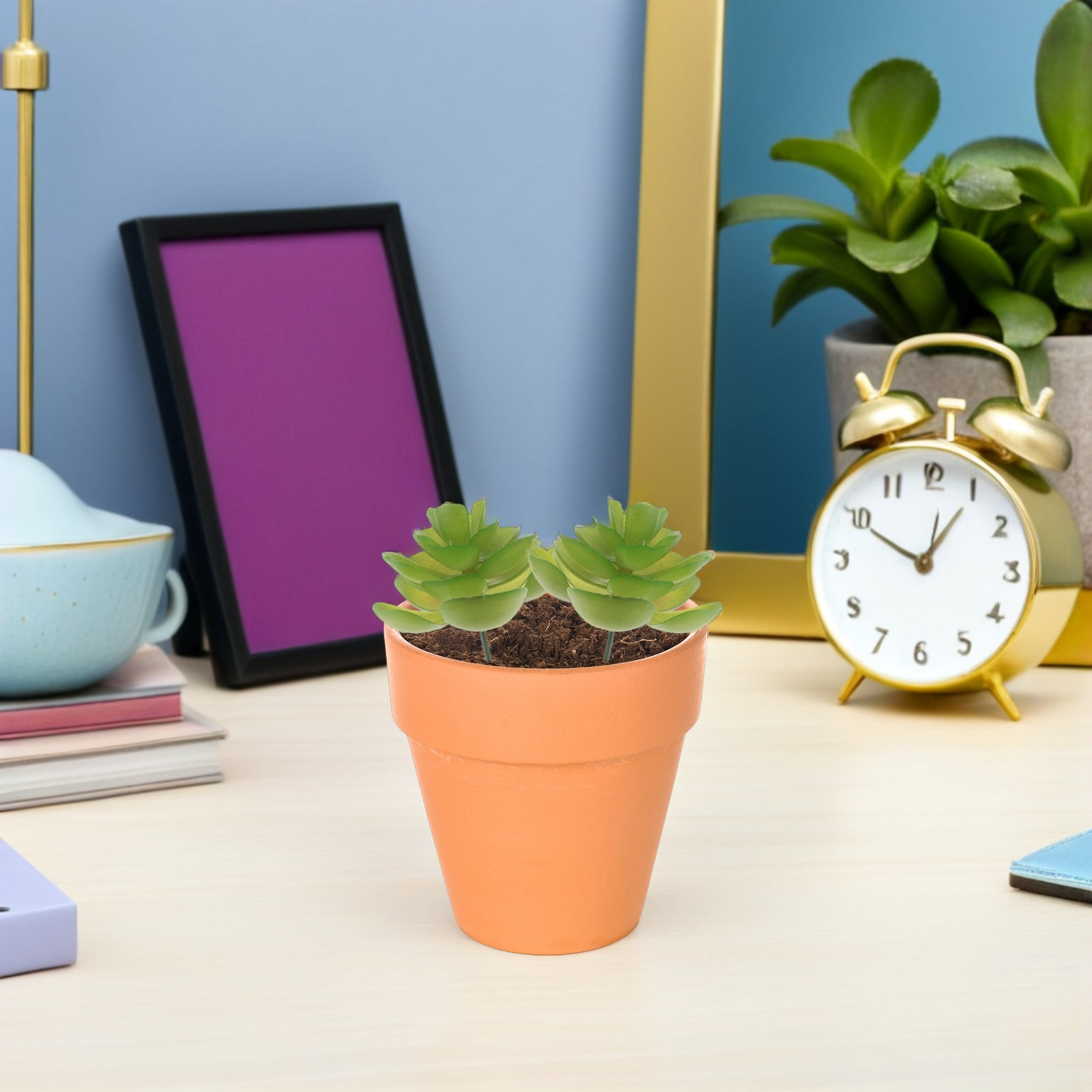 6 قطع نباتات عصارية اصطناعية ص - مراجعة Plant Pot Small Desk وسعره