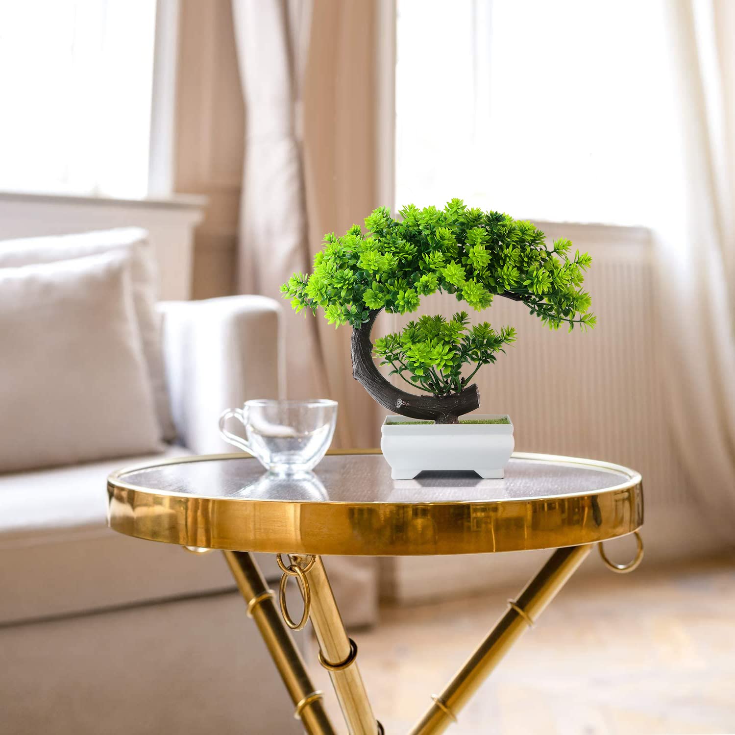 نباتات صناعية صغيرة على شكل زه - مراجعة Plant Pot Small Desk وسعره