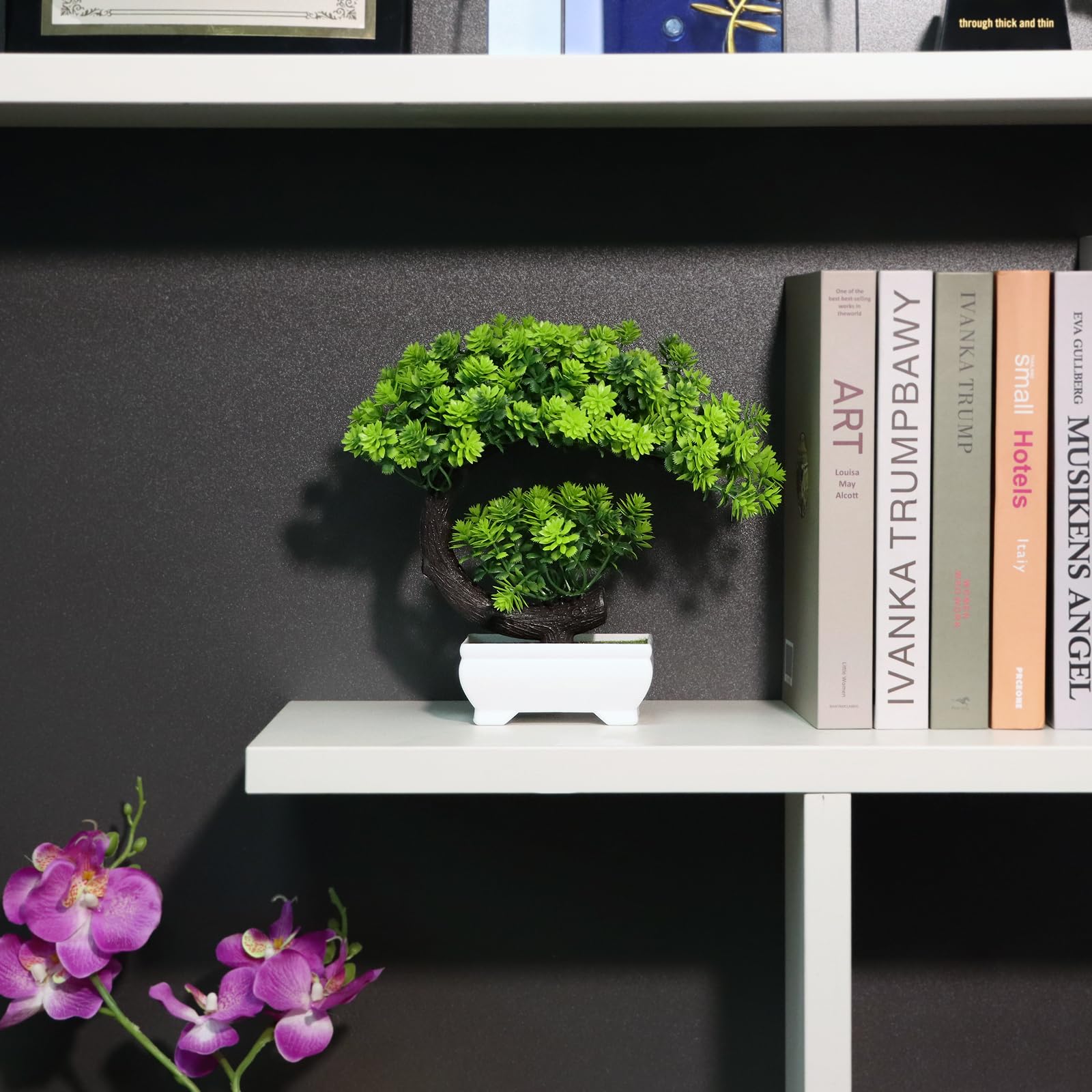 نباتات صناعية صغيرة على شكل زه - مراجعة Plant Pot Small Desk وسعره